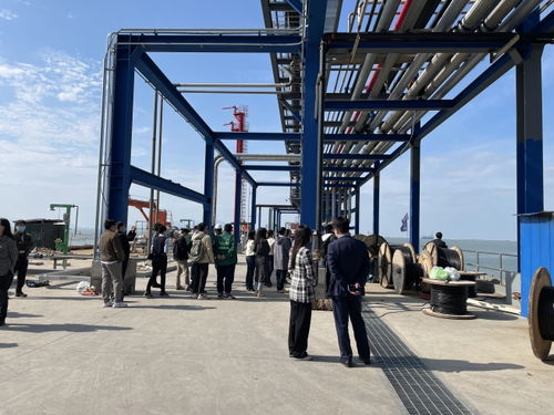 逾百家機(jī)構(gòu)調(diào)研連云港產(chǎn)業(yè)園