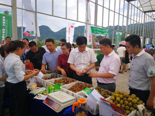 醉美遵義 四季主題游 暨渝客入遵 百日行動 秋季采摘體驗(yàn)游啟動儀式及系列活動在綏隆重舉行