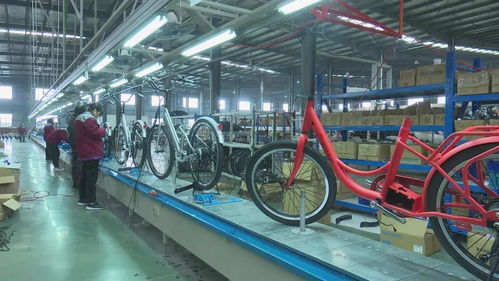 活力新衢州 美麗大花園 衢州 加大產品創(chuàng)新力度 不斷開拓國際市場